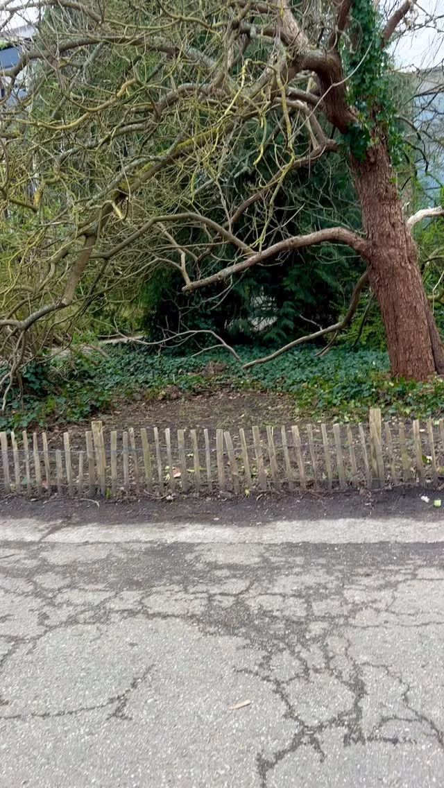 About yesterday…

So nice to teach about metaphors and stories 
For relaxation-therapists 

What a wonderful group! 
Thank you @kuleuven for the confidence 
And what a beautiful environment @leuven

#iousía #alsverhalenraken #relaxatietherapie #sportkotleuven