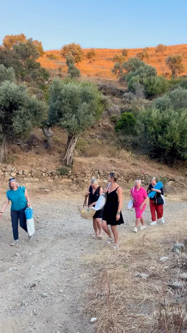 Shadowwork

Our last evening…
A special moment 
On a special location 

‘Witches and Wonders’

You can still join end of August! 

#iousía #witchesandwonders #shadowworker #creativetherapy #retreats