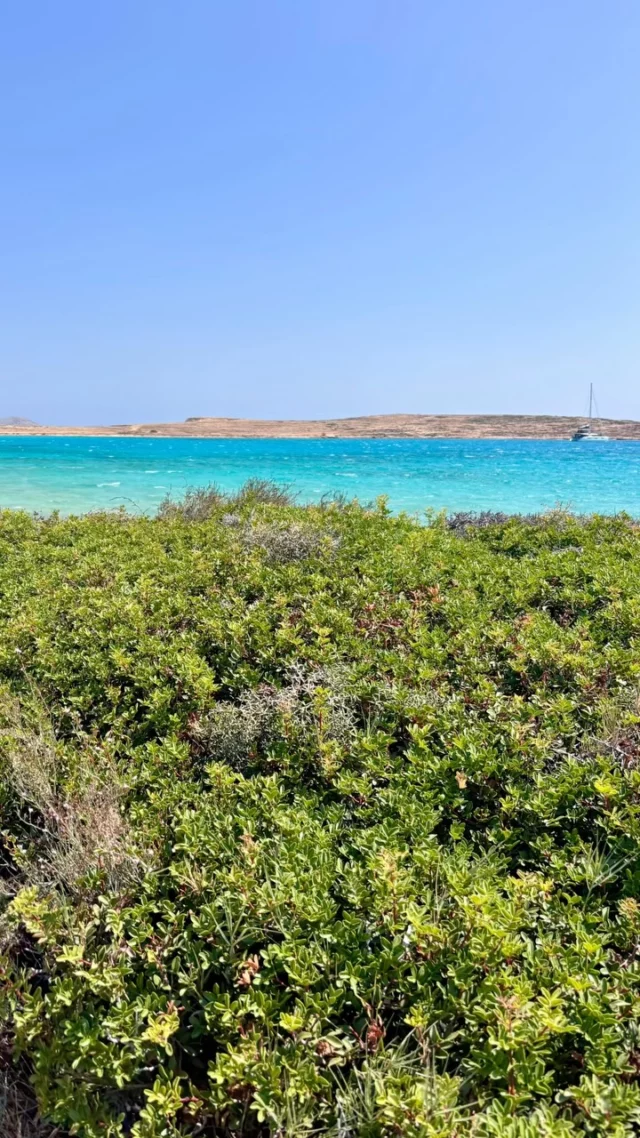 Koufonissi colours 😍

#iousía #retreats #bluelover #holidayvibes☀️ #missingitalready