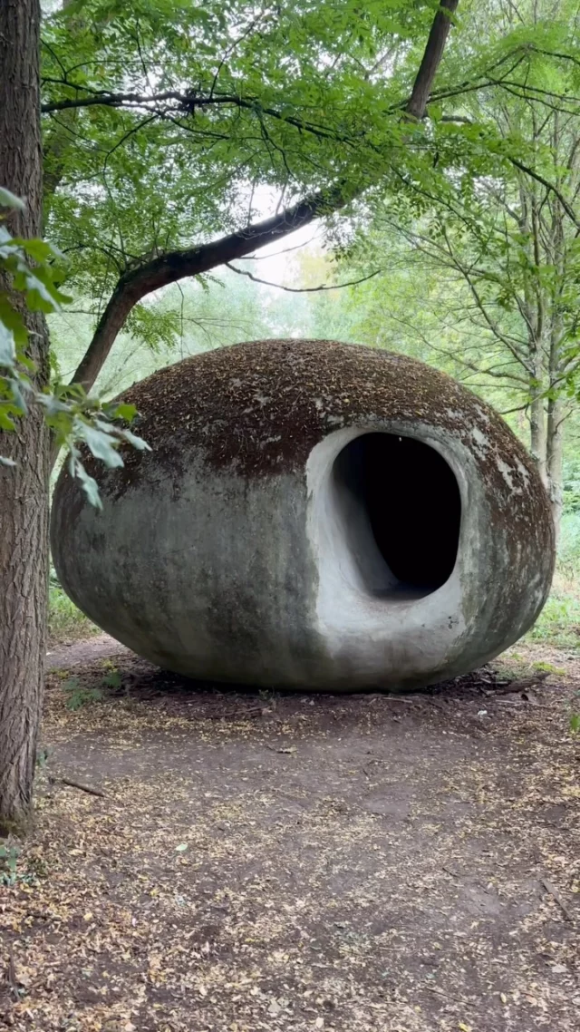 Sundayvibes

Enjoying art in nature😍
