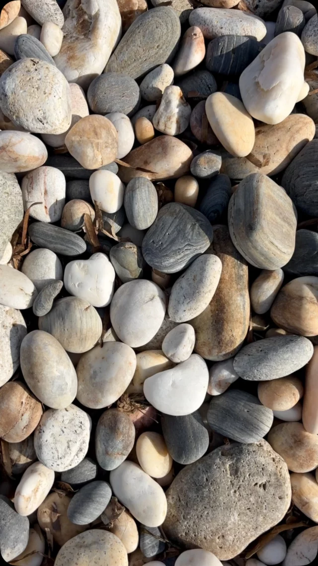 Friday Heartsday

One heart in between hundreds of stones…
Just waiting for my eyes 

Look out for your heart too! 💙

#retreats #fridayheartsday #heartstones #heartsonmypath #iousía