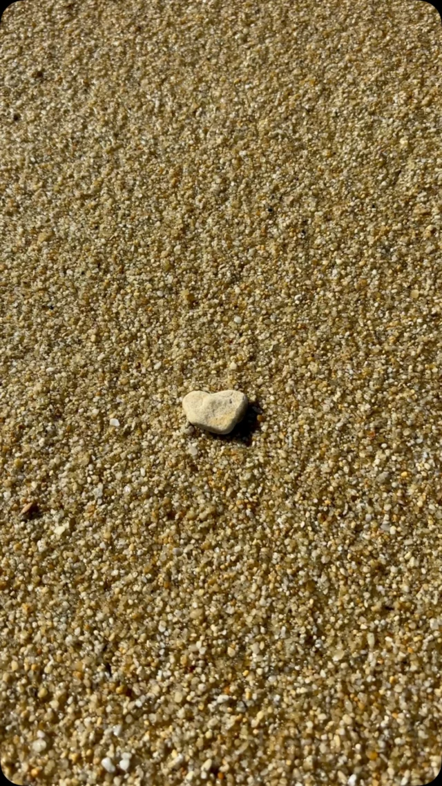 Friday Heartsday

Sometimes this day is about the stones
Now it’s about the heart…

It’s was a heartwarming day with an old friend
So grateful 

Look out for your heart too! 💙

#retreats #fridayheartsday #heartstones #iousía #heartsonmypath